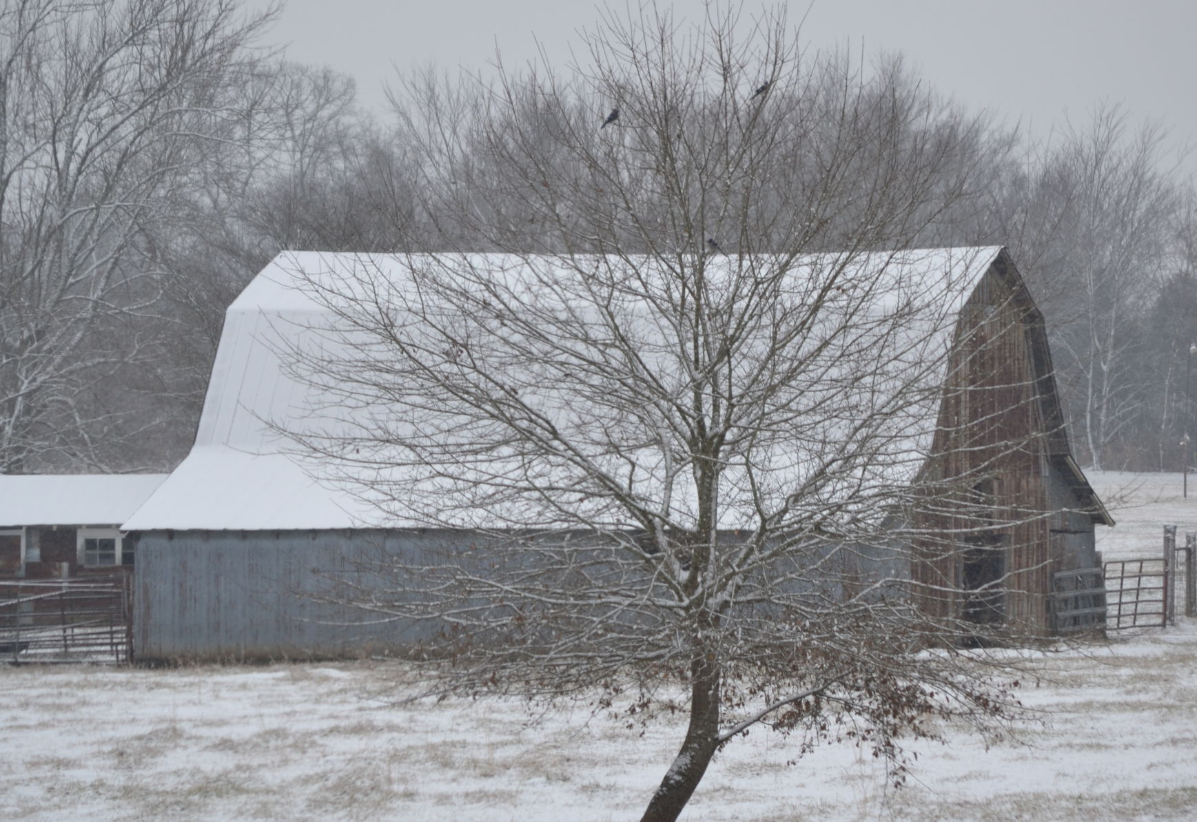 Tin Barn